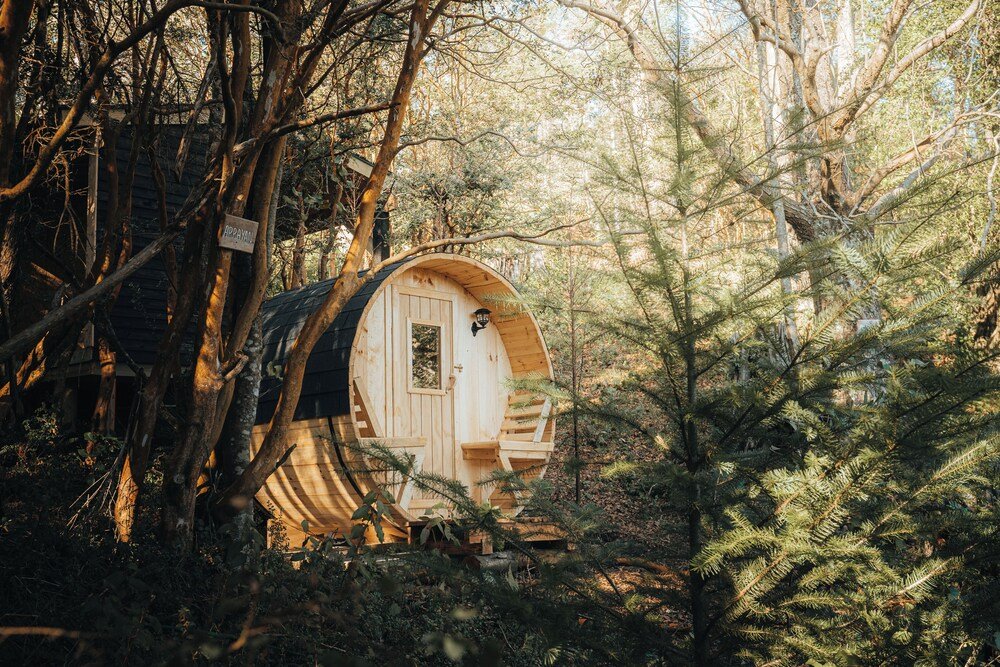 Wooden cabin nestled among trees at Ni-Newen lodge